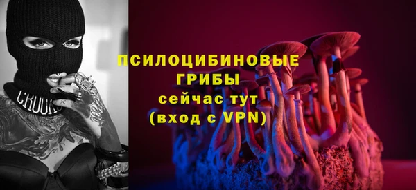 сатива Абаза