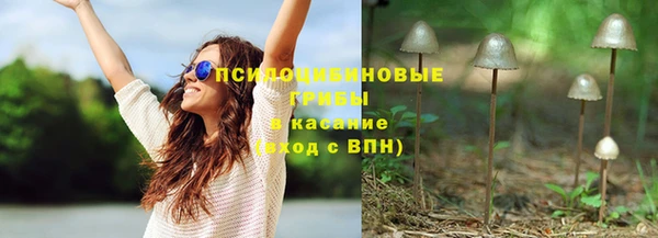 сатива Абаза